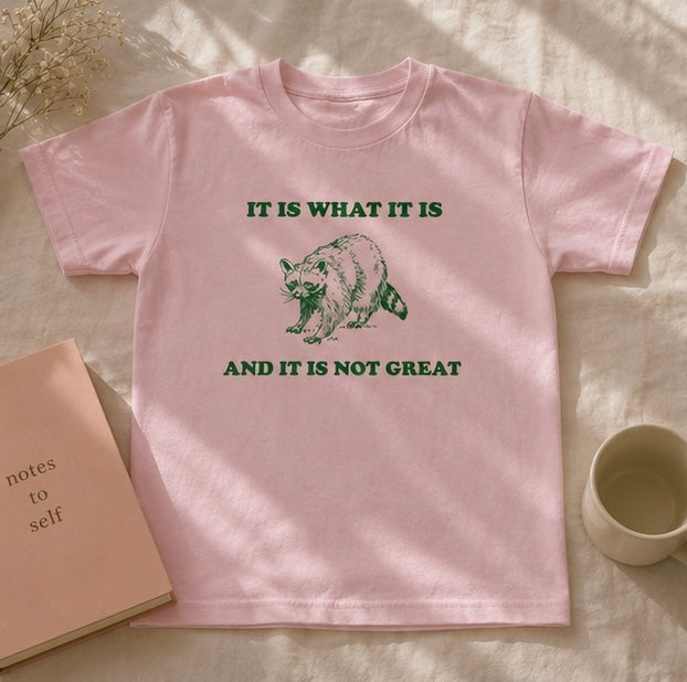 My “It Is What It Is” T-Shirt | Viral TikTok Raccoon Tee