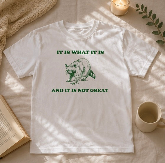 My “It Is What It Is” T-Shirt | Viral TikTok Raccoon Tee