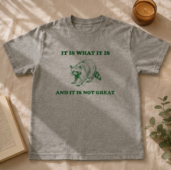 My “It Is What It Is” T-Shirt | Viral TikTok Raccoon Tee