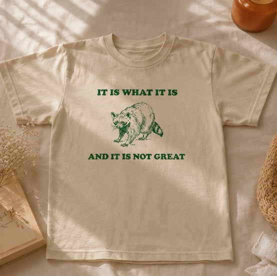 My “It Is What It Is” T-Shirt | Viral TikTok Raccoon Tee